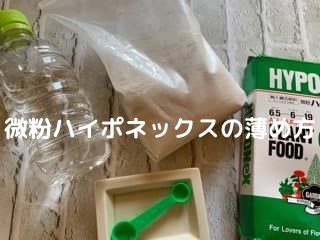 水耕栽培肥料 微粉ハイポネックスの使い方はペットボトルで簡単に かおりごと まったり主婦の自分磨きと日日アロマ ヒロブロ